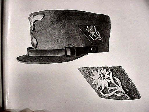 ORIGINAL SA Mützenedelweiss, HJ Hitlerjugend, 76.SS-Standarte Salzburg Edelweiss Hoheitsabzeichen RZM M1/ 52- Original SA cap Edelweiss, HJ Hitlerjugend Edelweiss - Edelweiss da berretto della SA o Hiterjugend Edelweiss originale ORIGINAL SA Mützenedelweiss, HJ Hitlerjugend, 76.SS-Standarte Salzburg Edelweiss Hoheitsabzeichen RZM M1/ 52- Original SA cap Edelweiss, HJ Hitlerjugend Edelweiss - Edelweiss da berretto della SA o Hiterjugend Edelweiss originale