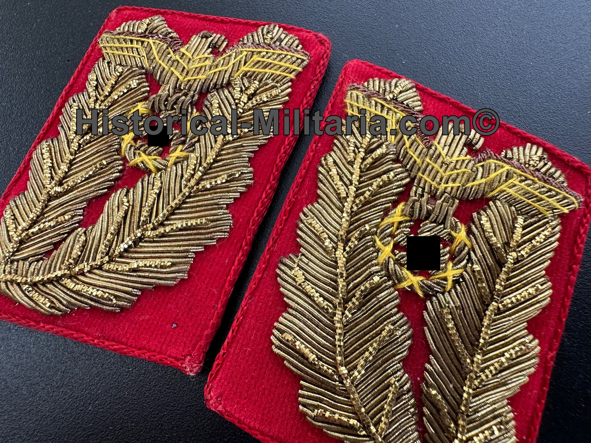 NSDAP Gauleiter Kragenspiegel Modell nach 1939 alt aussehend - Province Leader Gauleiter collar tabs post 1939 antique look - mostrine NSDAP da Gauleiter dopo 1939 aspetto antico NSDAP Gauleiter Kragenspiegel Modell nach 1939 alt aussehend - Province Leader Gauleiter collar tabs post 1939 antique look - mostrine NSDAP da Gauleiter dopo 1939 aspetto antico