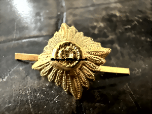 1pipgoldt-small.gif 1pipgoldt-small.gif