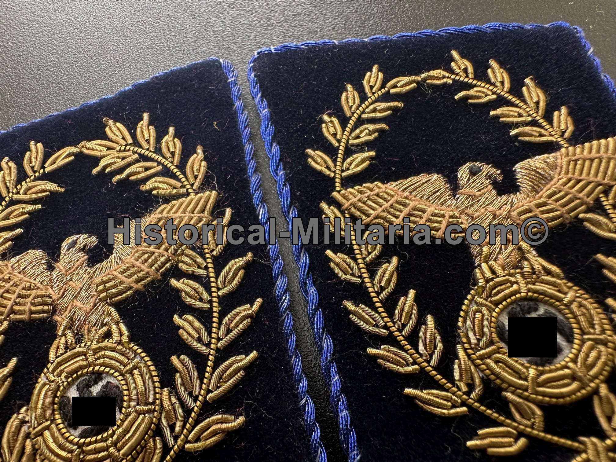 NSDAP Reichsleiter + Oberster Parteirichter Kragenspiegel - NSDAP Reichsleiter State Leader + Supreme Judge of the Party Court collar tabs - mostrine NSDAP Reichsleiter + Giudice supremo del tribunale del partito NSDAP Reichsleiter + Oberster Parteirichter Kragenspiegel - NSDAP Reichsleiter State Leader + Supreme Judge of the Party Court collar tabs - mostrine NSDAP Reichsleiter + Giudice supremo del tribunale del partito