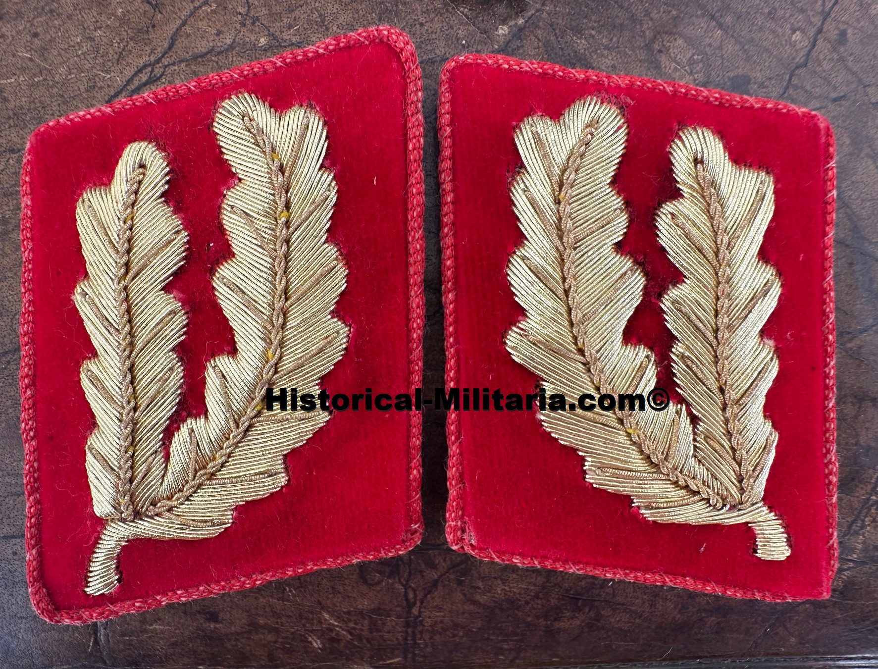 NSDAP Gauleiter Kragenspiegel Modell vor 1939 - Province Leader Gauleiter collar tabs pre 1939 model - mostrine della NSDAP da Gauleiter prima del 1939 NSDAP Gauleiter Kragenspiegel Modell vor 1939 - Province Leader Gauleiter collar tabs pre 1939 model - mostrine della NSDAP da Gauleiter prima del 1939