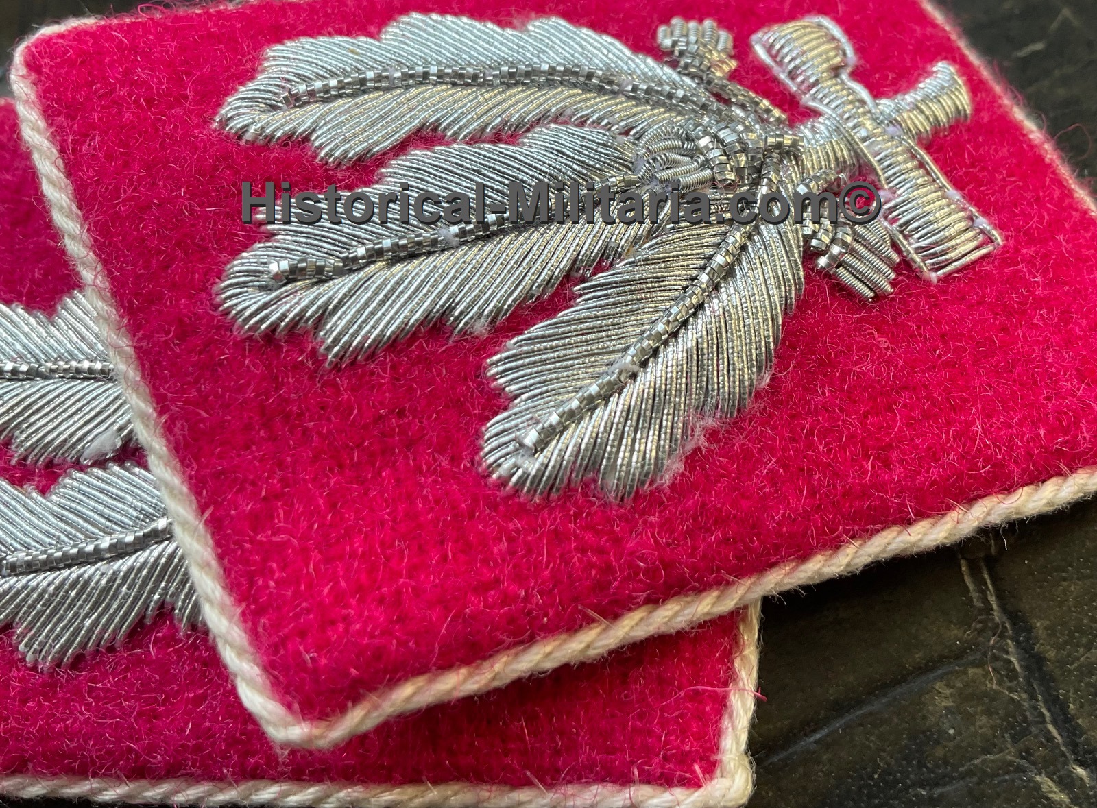 Kragenspiegel karmesinrot SA-Brigadeführer in der Obersten SA-Führung ab 1943 - 1943 pattern SA Surpreme Command SA-Brigadefuhrer Brigadier General collar tabs carmine - Mostrine SA-Brigadefuhrer Generale di Brigata SA 1943 carmino Kragenspiegel karmesinrot SA-Brigadeführer in der Obersten SA-Führung ab 1943 - 1943 pattern SA Surpreme Command SA-Brigadefuhrer Brigadier General collar tabs carmine - Mostrine SA-Brigadefuhrer Generale di Brigata SA 1943 carmino