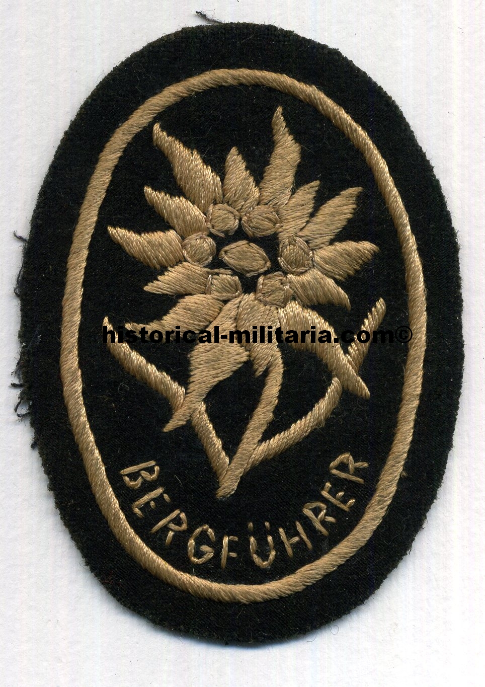 Qualified Waffen-SS Bergführer Mountain Troop Leader old stock - Bergführer Abzeichen der Waffen-SS Gebirgstruppen Edelweiss alter Lagerbestand - Edelweiss per le guide di montagna Waffen-SS vecchio stock Qualified Waffen-SS Bergführer Mountain Troop Leader old stock - Bergführer Abzeichen der Waffen-SS Gebirgstruppen Edelweiss alter Lagerbestand - Edelweiss per le guide di montagna Waffen-SS vecchio stock