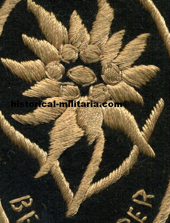 Qualified Waffen-SS Bergführer Mountain Troop Leader old stock - Bergführer Abzeichen der Waffen-SS Gebirgstruppen Edelweiss alter Lagerbestand - Edelweiss per le guide di montagna Waffen-SS vecchio stock Qualified Waffen-SS Bergführer Mountain Troop Leader old stock - Bergführer Abzeichen der Waffen-SS Gebirgstruppen Edelweiss alter Lagerbestand - Edelweiss per le guide di montagna Waffen-SS vecchio stock