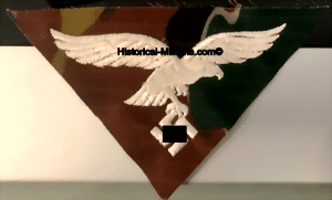 cam2t-small.gif