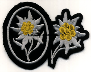 caset073t-small.gif caset073t-small.gif