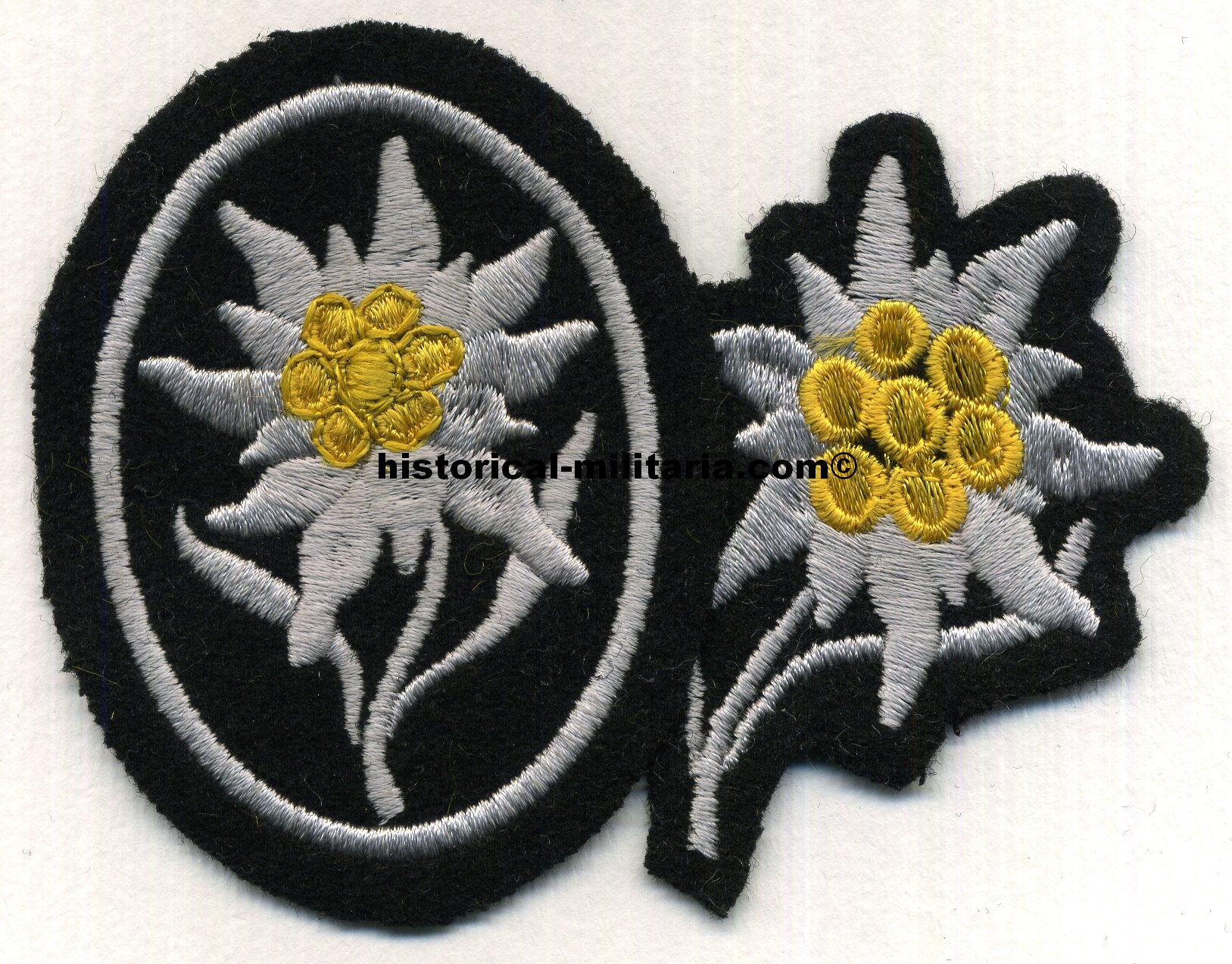 caset073t.jpg caset073t.jpg