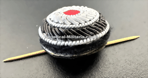 cocc2t-small.gif cocc2t-small.gif