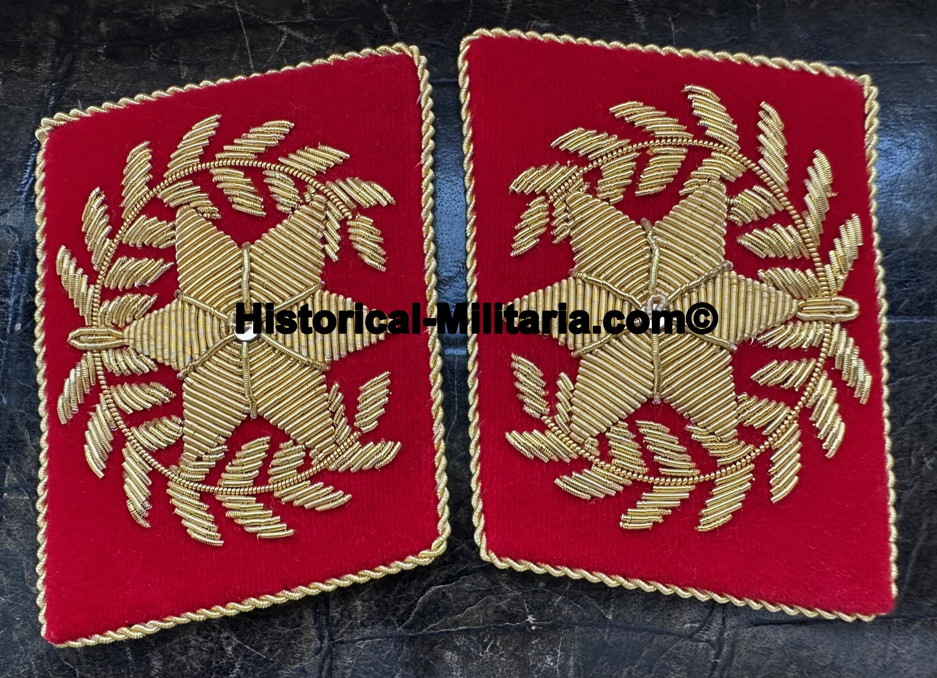 Kragenspiegel rot SA-Stabschef 1. Modell collar tabs leader of SA grouping Sturmabteilung as worn by Ernst Röhm - Mostrine da Stabschef-SA Colonnello Generale delle SA Sturmabteilung Ernst Röhm Kragenspiegel rot SA-Stabschef 1. Modell collar tabs leader of SA grouping Sturmabteilung as worn by Ernst Röhm - Mostrine da Stabschef-SA Colonnello Generale delle SA Sturmabteilung Ernst Röhm