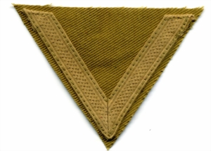 gef377-small.jpg gef377-small.jpg