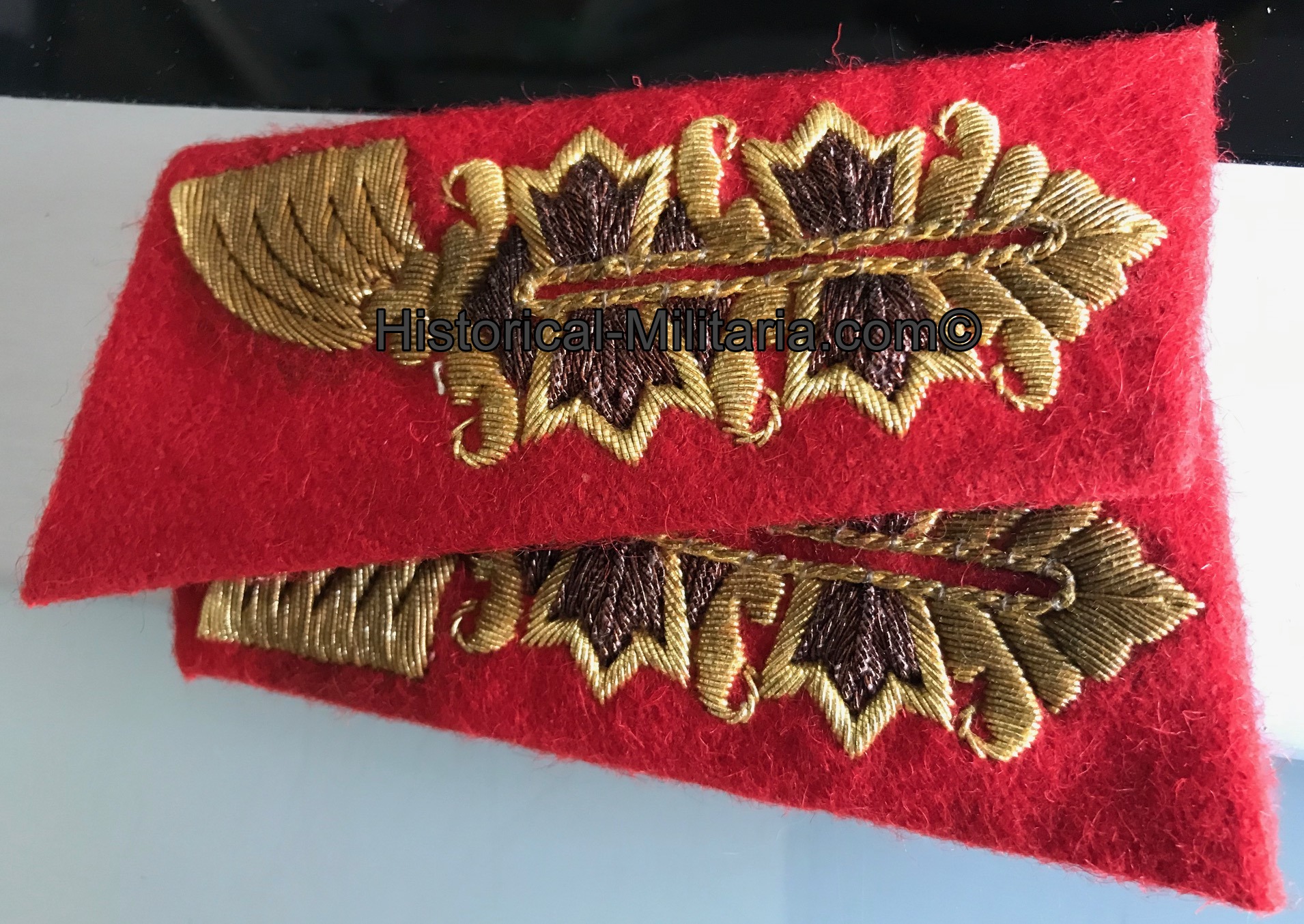 German Army General collar tabs used antiqued looking - Kragenspiegel General der Wehrmacht gebraucht aussehend - Mostrine della Generalità tedesca Heer esercito aspetto usato German Army General collar tabs used antiqued looking - Kragenspiegel General der Wehrmacht gebraucht aussehend - Mostrine della Generalità tedesca Heer esercito aspetto usato