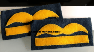 genmajintt-small.gif genmajintt-small.gif