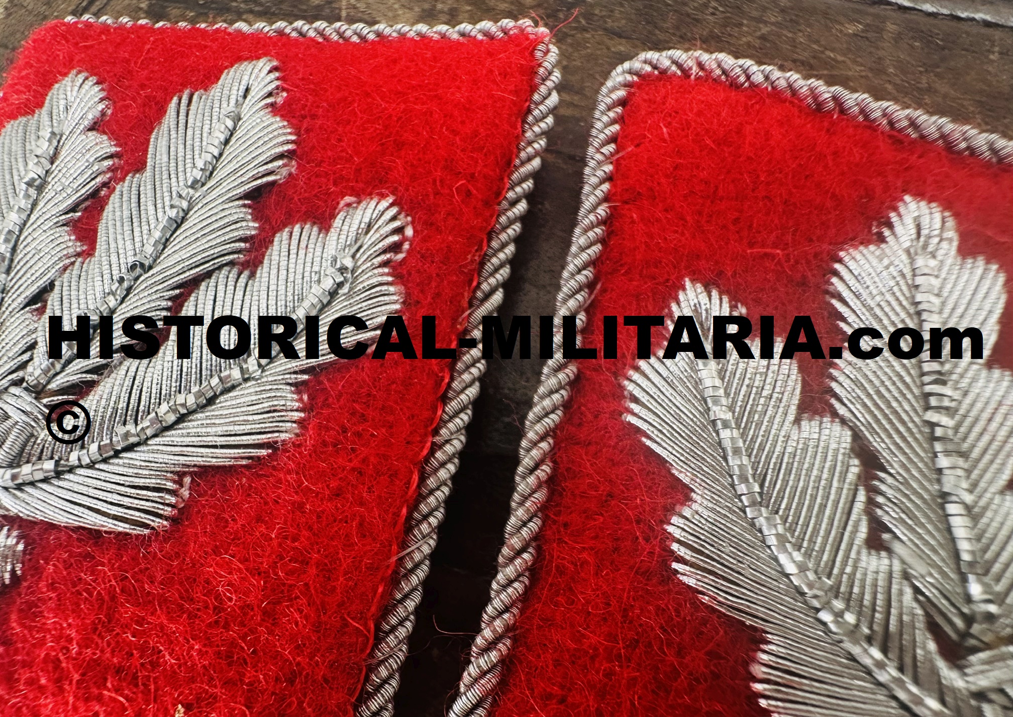 Kragenspiegel rot SA-Gruppenführer im Stab einer SA-Gruppe - SA-Gruppenfüher Major General collar tabs on red - Mostrine SA-Gruppenführer su panno rosso Generale di Divisione Kragenspiegel rot SA-Gruppenführer im Stab einer SA-Gruppe - SA-Gruppenfüher Major General collar tabs on red - Mostrine SA-Gruppenführer su panno rosso Generale di Divisione