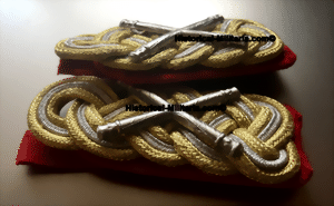 gfmaf11-small.gif gfmaf11-small.gif