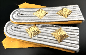 goldyellat-small-2.gif goldyellat-small-2.gif