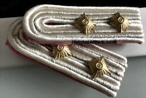 hptpzt-small.gif