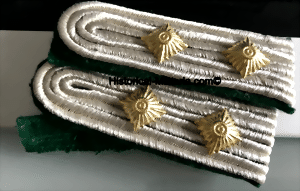 hptshincat-small.gif