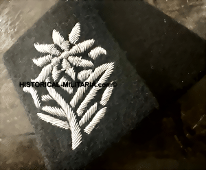 innsbrct-small-2.gif innsbrct-small-2.gif