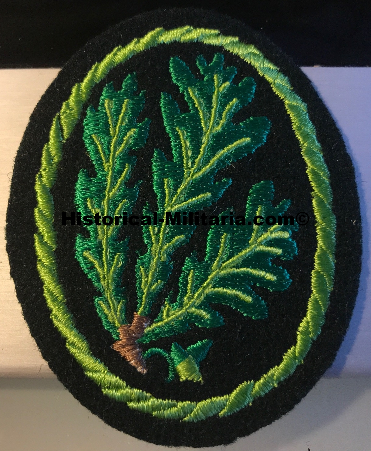 Division Brandenburg Jägerregiment EM/ NCO cuff title on green + Jäger patch - Ärmelband + Jägerabzeichen der Division Brandenburg Jägerregiment - Set da Jager Regimento Brandenburg Cacciatori Division Brandenburg Jägerregiment EM/ NCO cuff title on green + Jäger patch - Ärmelband + Jägerabzeichen der Division Brandenburg Jägerregiment - Set da Jager Regimento Brandenburg Cacciatori