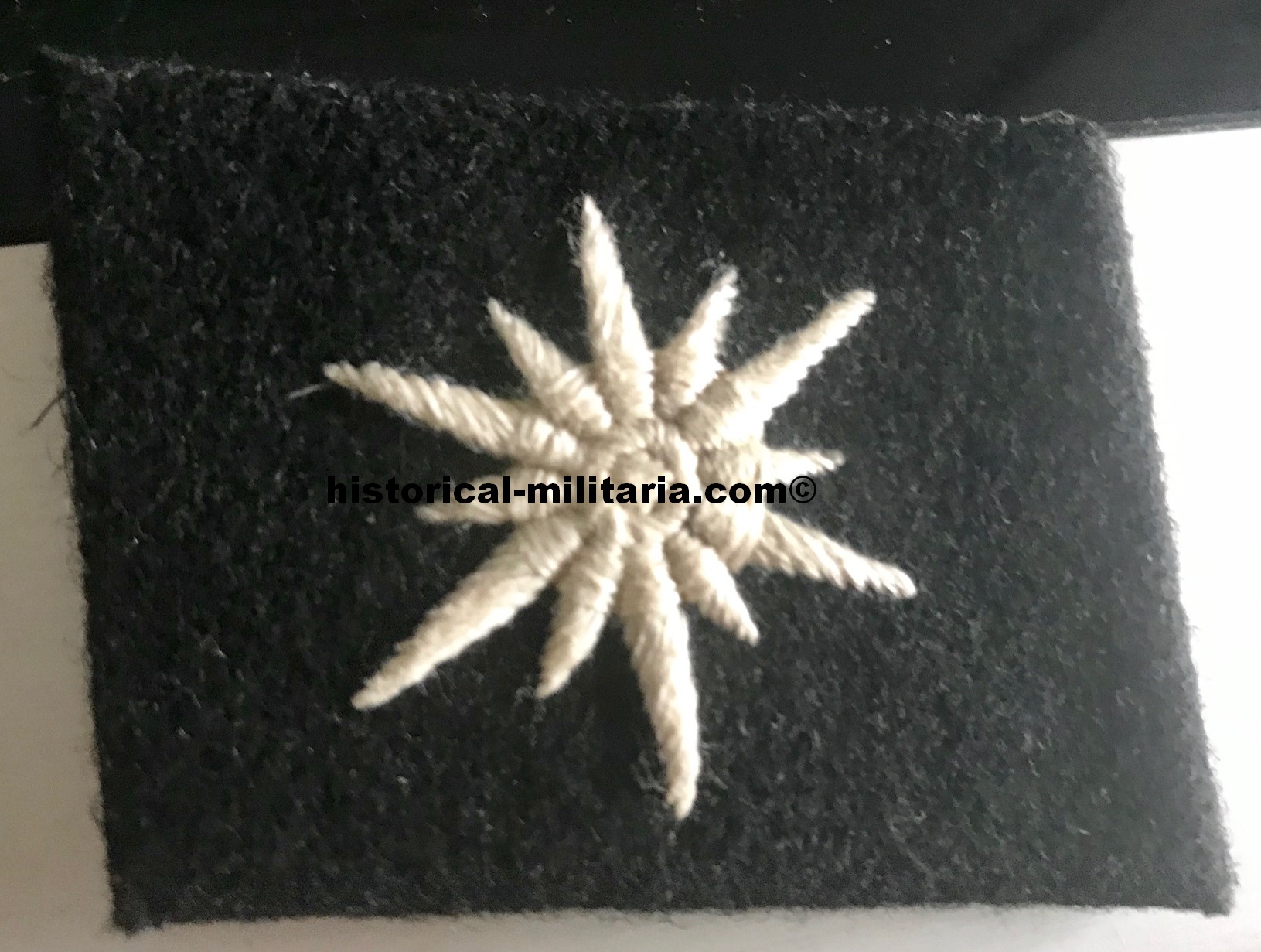 24. SS W-Gebirgs Karstjäger Div. of SS Sergeant collar tabs ( unidentified ) SS-Unterscharführer Karstjäger Kragenspiegel SS Sergeant - mostrine da Sergente delle Karstjager SS 24. SS W-Gebirgs Karstjäger Div. of SS Sergeant collar tabs ( unidentified ) SS-Unterscharführer Karstjäger Kragenspiegel SS Sergeant - mostrine da Sergente delle Karstjager SS