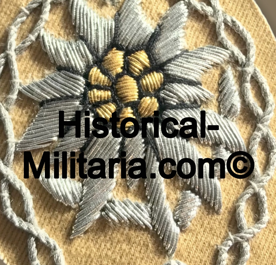 Wehrmacht Offizier EDELWEISS Ärmelabzeichen Gebirgstruppen Afrika - German Army Mountain Troops Officer Edelweiss Africa arm patch - Edelweiss da Ufficiale su panno color tropicale Afrika Heer Wehrmacht Offizier EDELWEISS Ärmelabzeichen Gebirgstruppen Afrika - German Army Mountain Troops Officer Edelweiss Africa arm patch - Edelweiss da Ufficiale su panno color tropicale Afrika Heer