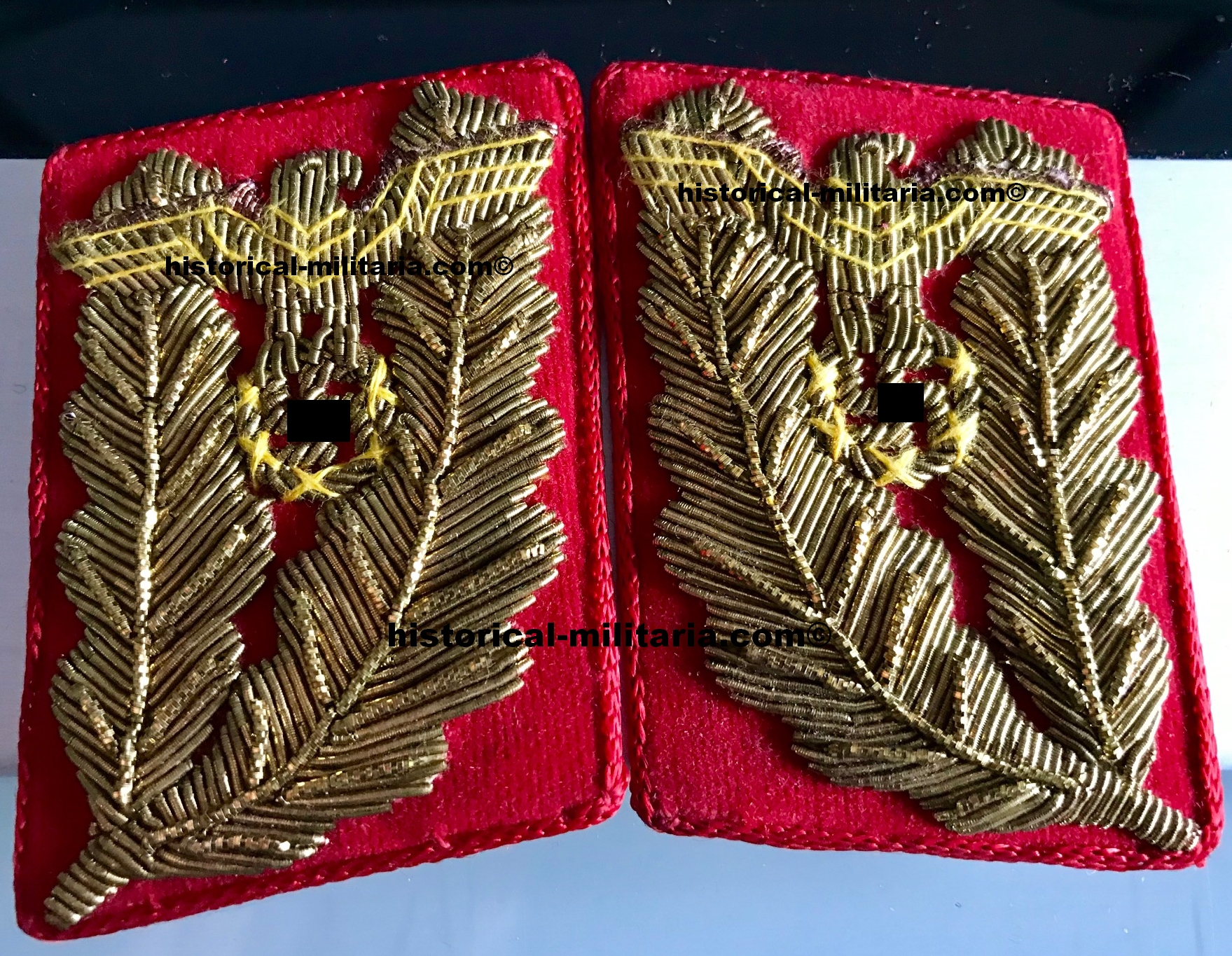 NSDAP Gauleiter Kragenspiegel Modell nach 1939 alt aussehend - Province Leader Gauleiter collar tabs post 1939 antique look - mostrine NSDAP da Gauleiter dopo 1939 aspetto antico NSDAP Gauleiter Kragenspiegel Modell nach 1939 alt aussehend - Province Leader Gauleiter collar tabs post 1939 antique look - mostrine NSDAP da Gauleiter dopo 1939 aspetto antico