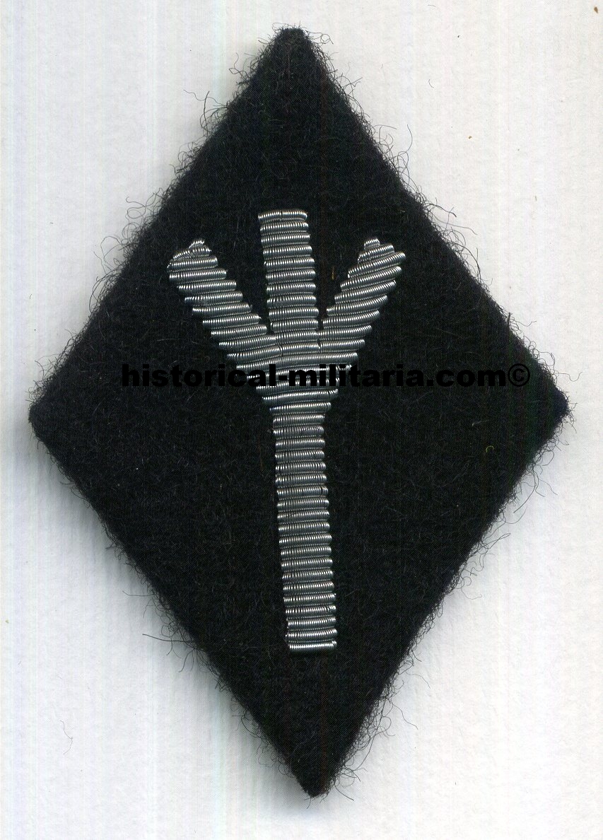 Ärmelraute Department " Ahnenerbe " division " Lebensborn " Stabspersonal of the Forschungs-and Lehrgemeinschaften SS diamond patch - Distintivo di specialità SS Lebensborn Waffen-SS Ärmelraute Department " Ahnenerbe " division " Lebensborn " Stabspersonal of the Forschungs-and Lehrgemeinschaften SS diamond patch - Distintivo di specialità SS Lebensborn Waffen-SS