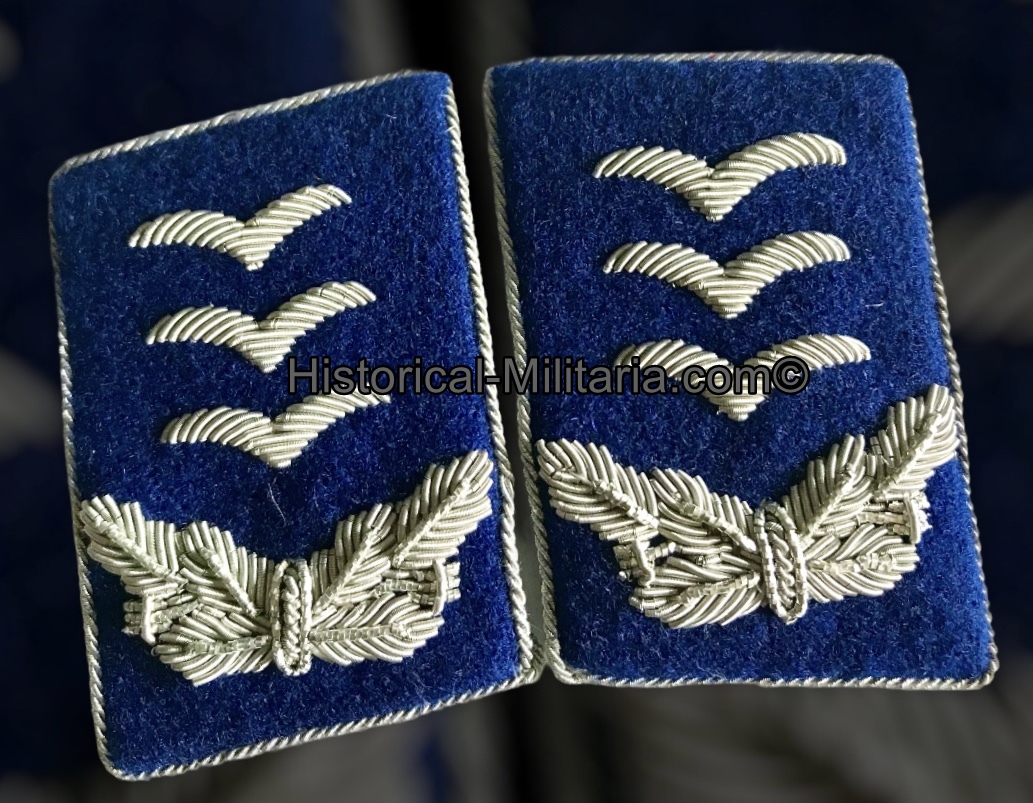 Luftwaffe MEDICAL Corps Hauptmann Stabsarzt SET mit Äskulapstab - Luftwaffe Set Captain with aesculapius cyphers - Set da Capitano della Luftwaffe Sanità con degli esculapi Luftwaffe MEDICAL Corps Hauptmann Stabsarzt SET mit Äskulapstab - Luftwaffe Set Captain with aesculapius cyphers - Set da Capitano della Luftwaffe Sanità con degli esculapi