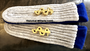 medltsewt-small-2.gif