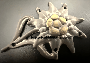 megrmedt2-small.gif megrmedt2-small.gif