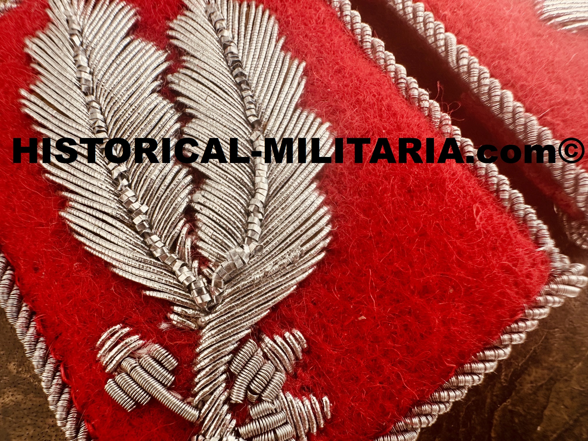 Kragenspiegel rot SA-Oberführer im Stab einer SA-Gruppe - SA-Oberfuhrer collar tabs on red - Mostrine SA-Oberfuhrer su panno rosso Commandante superiore delle SA Kragenspiegel rot SA-Oberführer im Stab einer SA-Gruppe - SA-Oberfuhrer collar tabs on red - Mostrine SA-Oberfuhrer su panno rosso Commandante superiore delle SA