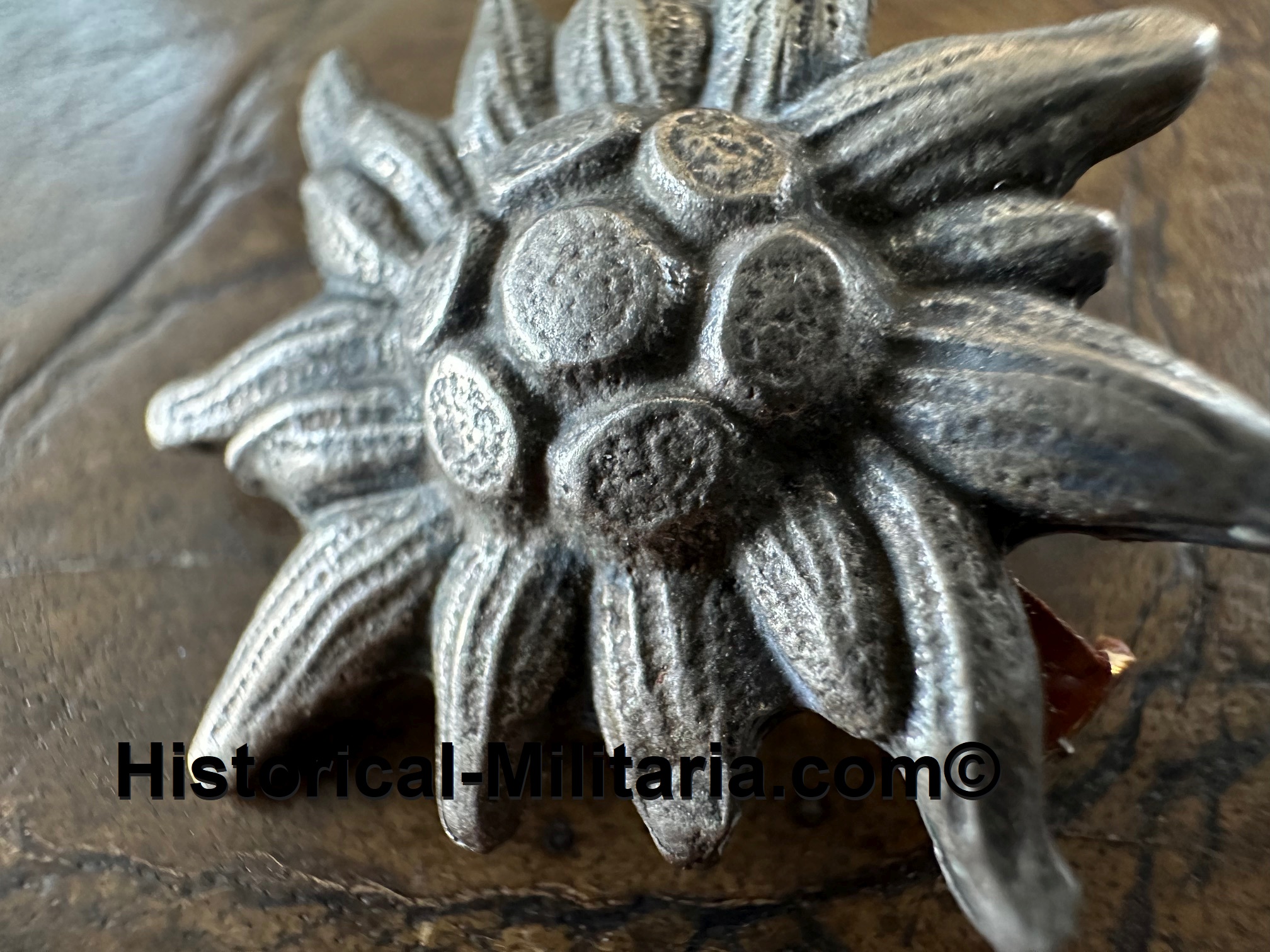 Wehrmacht Mountain Trooper's visor cap old stock Edelweiss - Wehrmacht Offizier altes Edelweiss Metall für Schirmmütze - Edelweiss in metallo da berretto dell'esercito tedesco Heer vecchio stock - 1 x on stock Wehrmacht Mountain Trooper's visor cap old stock Edelweiss - Wehrmacht Offizier altes Edelweiss Metall für Schirmmütze - Edelweiss in metallo da berretto dell'esercito tedesco Heer vecchio stock - 1 x on stock