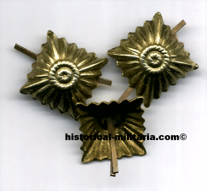 pipag586t-small.gif pipag586t-small.gif