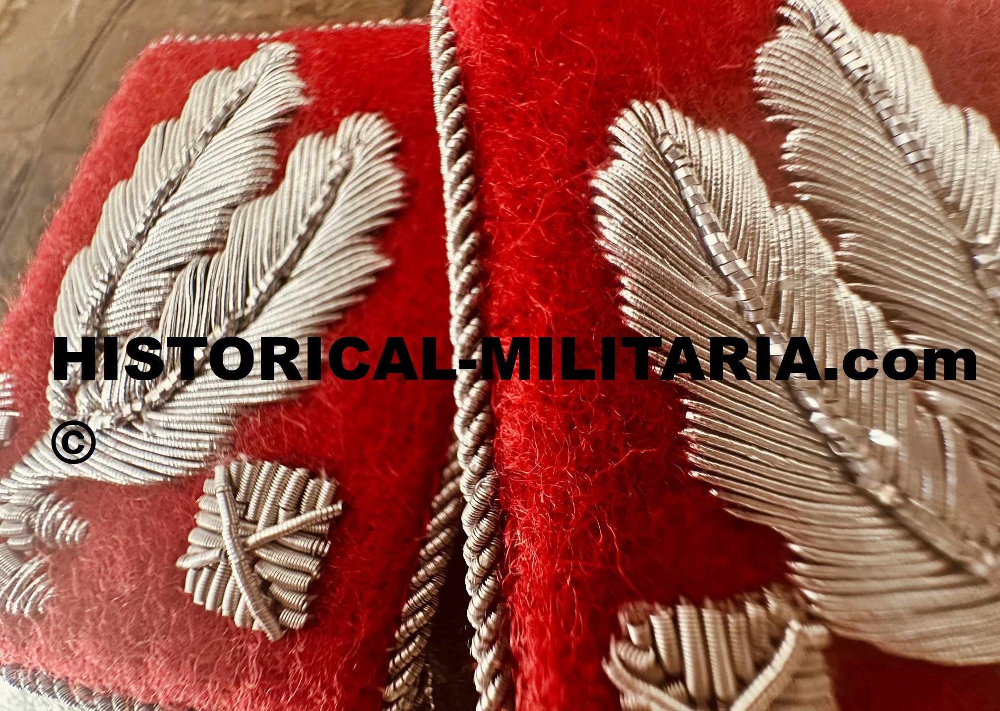 Kragenspiegel rot SA-Brigadeführer im Stab einer SA-Gruppe - SA-Brigadefuhrer Brigadier General collar tabs on red - Mostrine SA-Brigadefuhrer su panno rosso Generale di Brigata SA Kragenspiegel rot SA-Brigadeführer im Stab einer SA-Gruppe - SA-Brigadefuhrer Brigadier General collar tabs on red - Mostrine SA-Brigadefuhrer su panno rosso Generale di Brigata SA