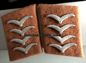 skraghptgt-small-2.gif