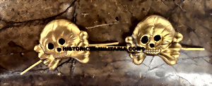 skullagt-small.gif skullagt-small.gif