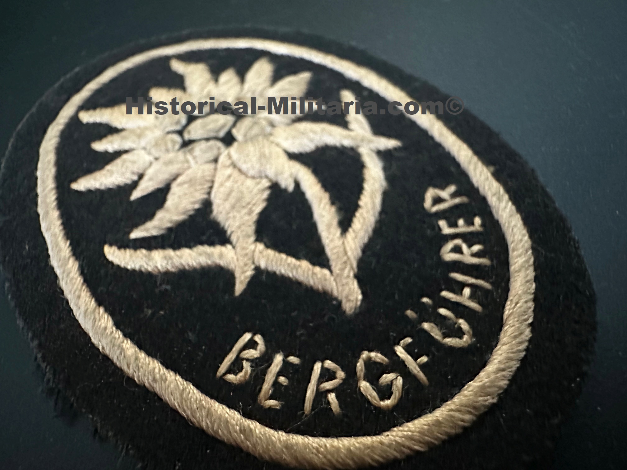 Qualified Waffen-SS Bergführer Mountain Troop Leader old stock - Bergführer Abzeichen der Waffen-SS Gebirgstruppen Edelweiss alter Lagerbestand - Edelweiss per le guide di montagna Waffen-SS vecchio stock Qualified Waffen-SS Bergführer Mountain Troop Leader old stock - Bergführer Abzeichen der Waffen-SS Gebirgstruppen Edelweiss alter Lagerbestand - Edelweiss per le guide di montagna Waffen-SS vecchio stock