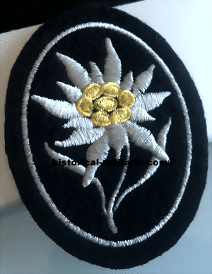 ssedt-small.gif