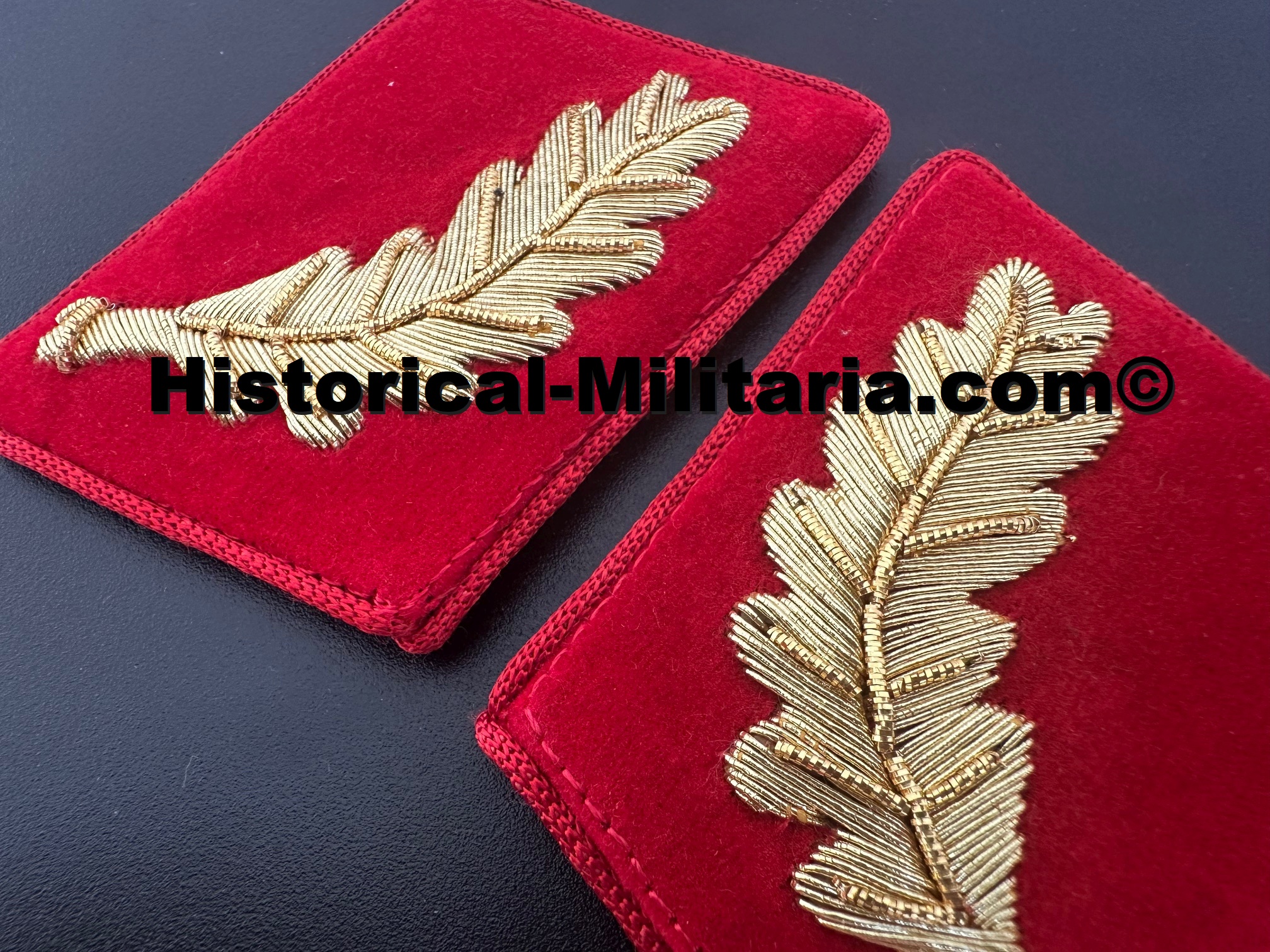 NSDAP Stellvertretender Gauleiter Kragenspiegel Modell vor 1939 - Deputy Gauleiter Province Leader collar tabs pre 1939 model - mostrine della NSDAP da Vice Gauleiter prima del 1939 NSDAP Stellvertretender Gauleiter Kragenspiegel Modell vor 1939 - Deputy Gauleiter Province Leader collar tabs pre 1939 model - mostrine della NSDAP da Vice Gauleiter prima del 1939