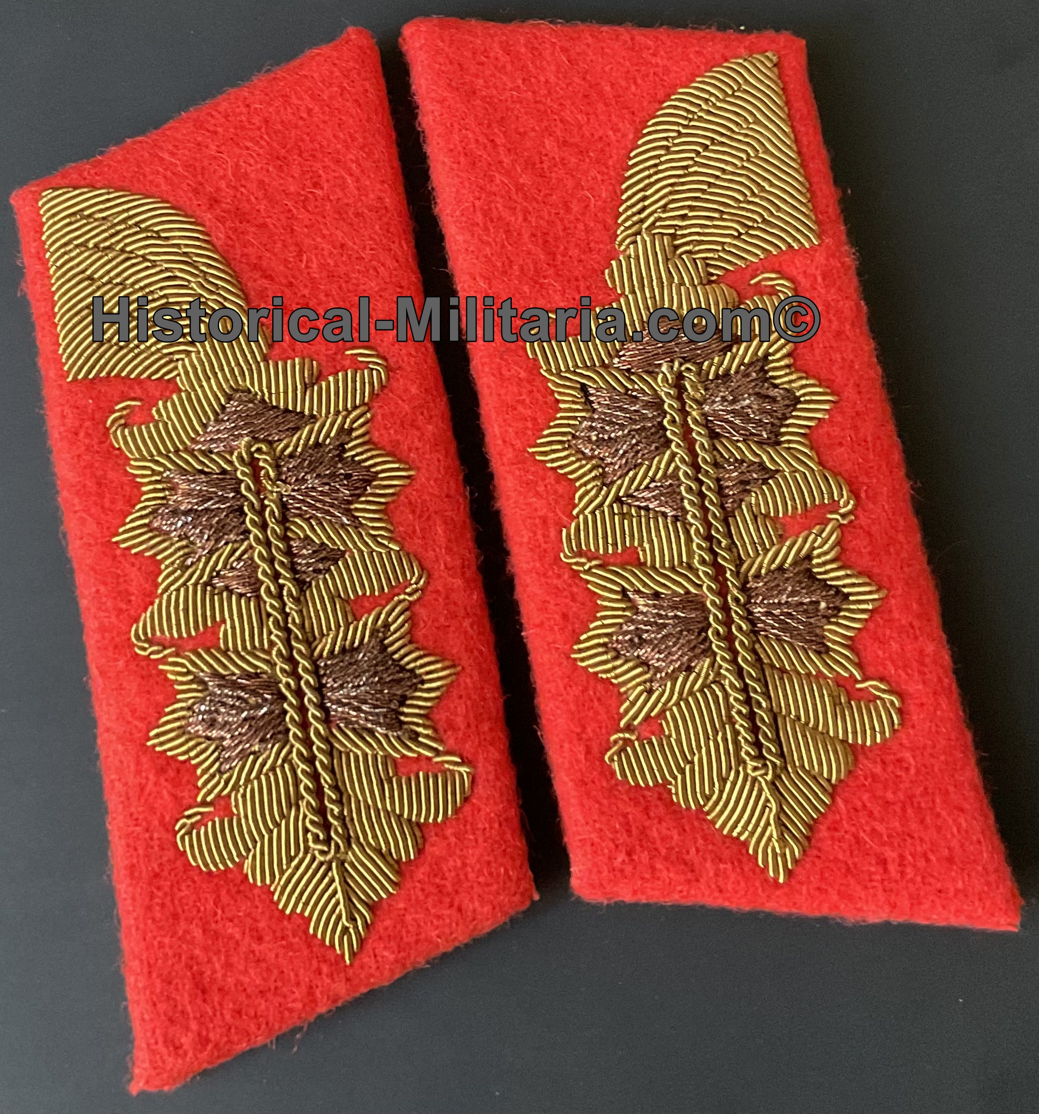 German Army General collar tabs in two-tone old looking golden threads - Kragenspiegel General der Wehrmacht Antik - Mostrine della Generalità tedesca aspetto antico esercito tedesco German Army General collar tabs in two-tone old looking golden threads - Kragenspiegel General der Wehrmacht Antik - Mostrine della Generalità tedesca aspetto antico esercito tedesco